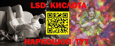 прущие грибы Усть-Илимск