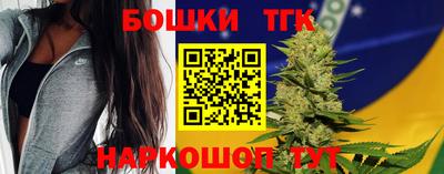 прущие грибы Усть-Илимск