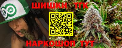 прущие грибы Усть-Илимск