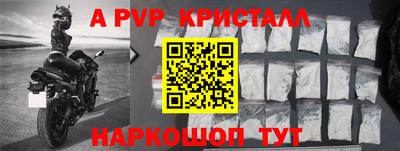 прущие грибы Усть-Илимск