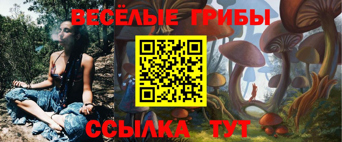 Псилоцибиновые грибы MAGIC MUSHROOMS Муром