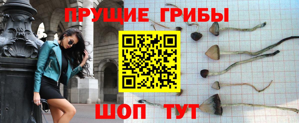 Галлюциногенные грибы Magic Shrooms  Вход с VPN  Муром  Галлюциногенные грибы Cubensis 